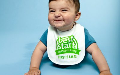 Where Are We Now? Key Learnings from Regional Networks in the Best Start Communities, One Year Later