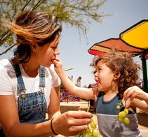 새로운 툴킷은 어린이에게 건강에 해로운 음식과 음료의 마케팅을 줄이는 전략을 제공합니다