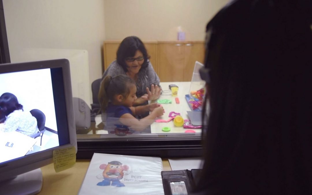Parent Child Interaction Therapy – A Kinship Case