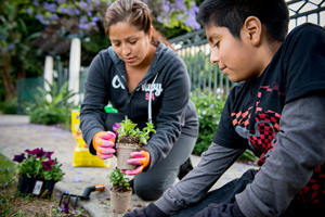 Twitter "Garden"파티 요리, 가뭄에 대한 어린이 친화적 정원 가꾸기