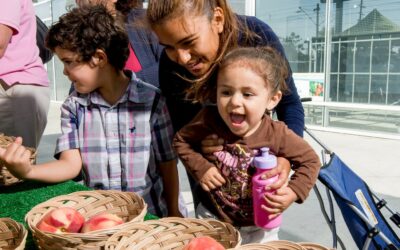 Cornerstones of Optimal Development: Ensuring Basic Needs and Reducing Child Poverty