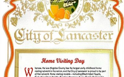 Home Visiting Garners Increasing Official Recognition